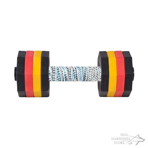 Dog Dumbbell UK