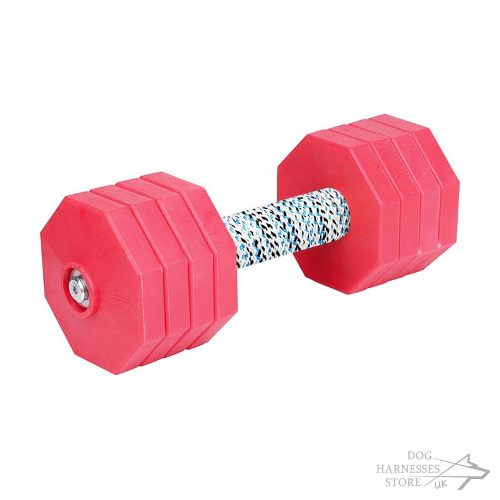 Dog Dumbbell UK