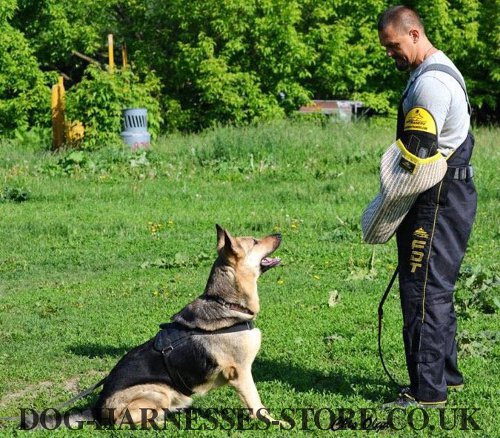 Dog Handler Training Pants UK