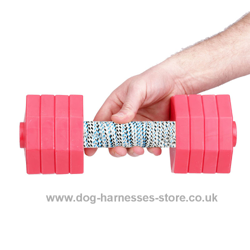 Dog Retrieving Dumbbells