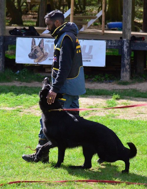 Dog Trainer Suit