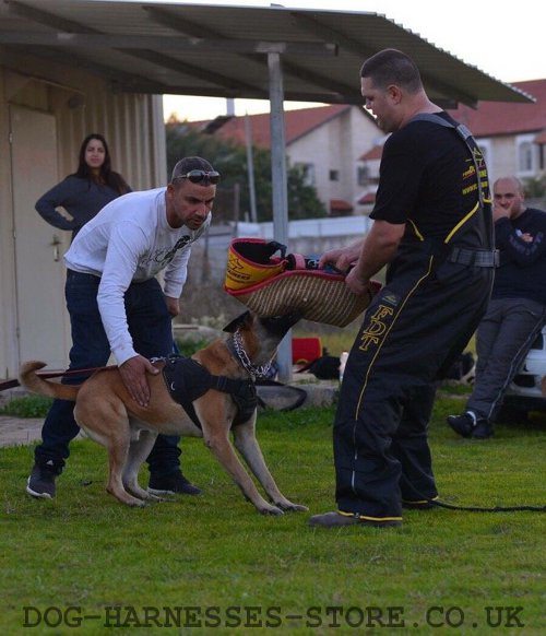 Dog Training Arm Bite Sleeve