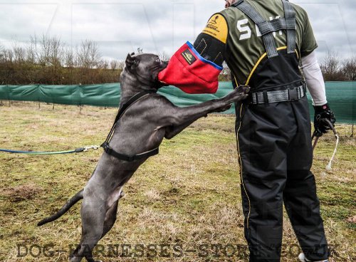 Dog Training Arm Bite Sleeve