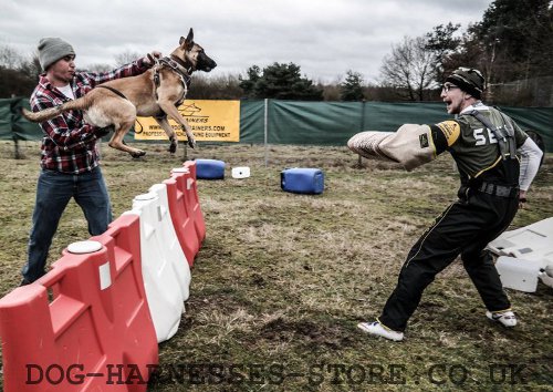 Dog Training Bite Sleeve Sale