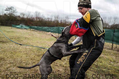 Dog Training Bite Sleeve