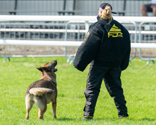 Dog Trainer Clothing