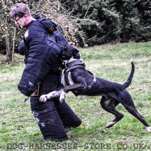 Dog Training Bite Suit for Sale UK