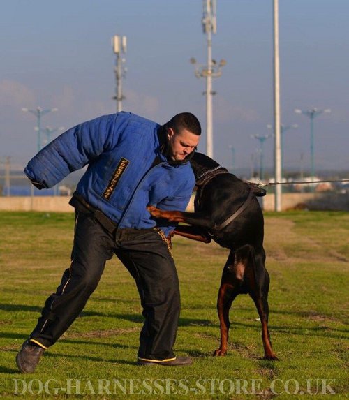 Dog Training Bite Suit UK