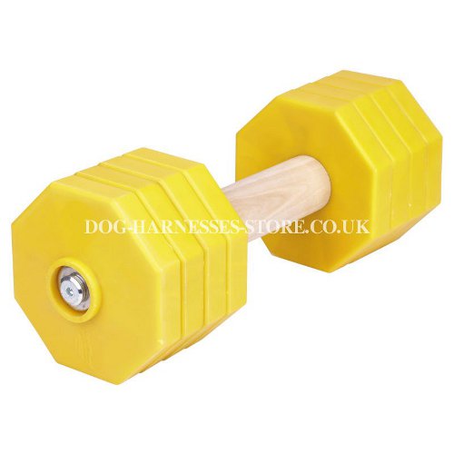 Dog Training Dumbbell