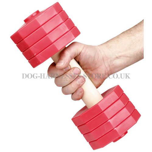 Dog Training Dumbbells UK