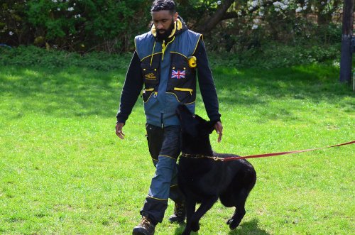 Dog Training Scratch Suit