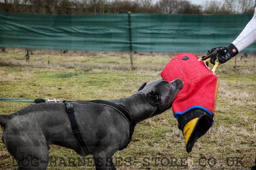 Dog Training Sleeves UK