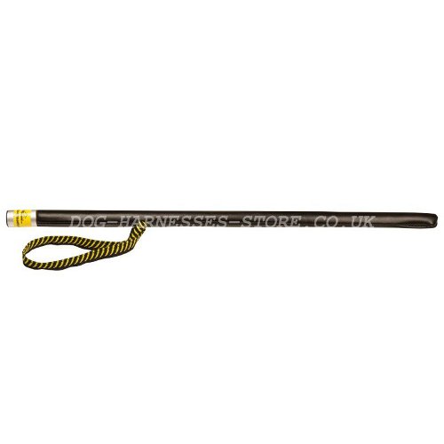 Dog Training Stick