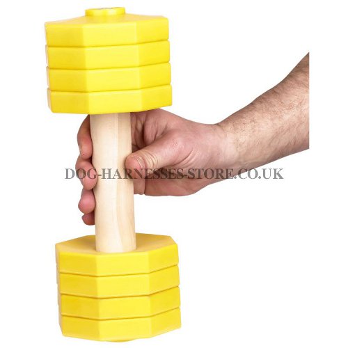 Dumbbell for Dogs Training