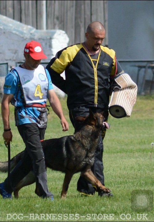 Military Dog Training UK