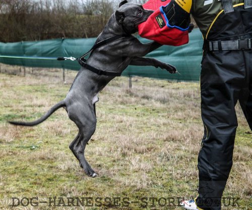 Dog Training Bite Sleeve UK