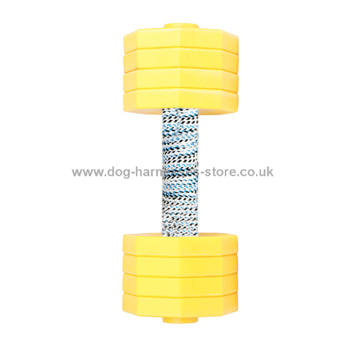 Plastic Dumbbell for Dogs