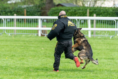 Protection Dog Bite Suit for Sale