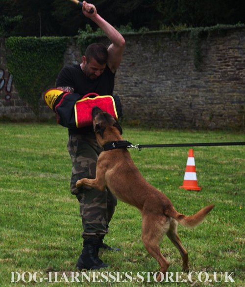 IGP Sleeve UK for Belgian Shepherd