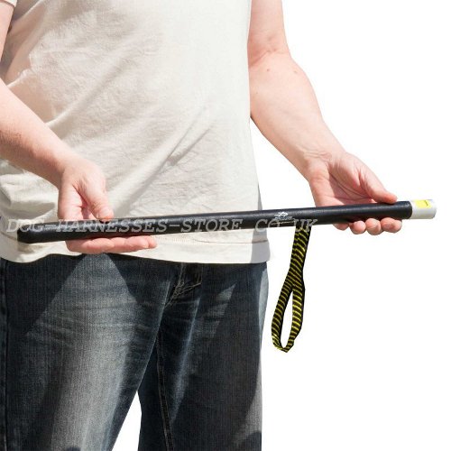 Training Stick for Dogs