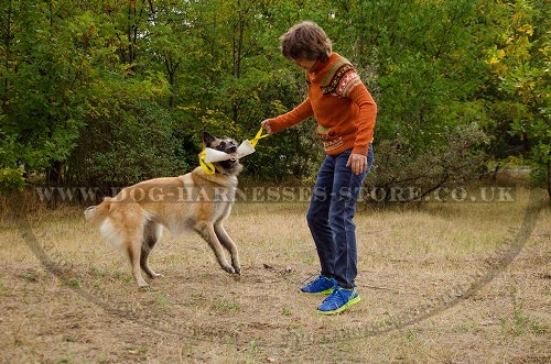 Tervuren Training