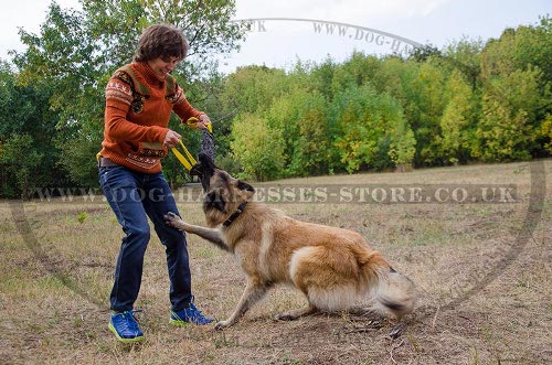 Tervuren Training