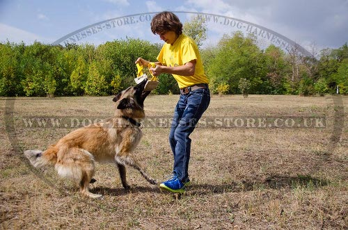 Tervuren Training