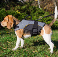 Warm and Support Your Beagle with the Best Dog Harness Vest!