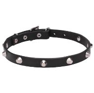 Beautiful and Elegant Leather Dog Collar with Decorative Cones