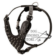 Best Spiked Leather Dog Harness UK, Work of Designers