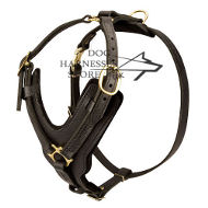 Large Leather Dog Harness UK