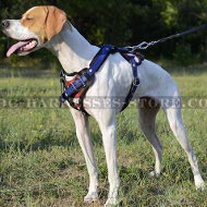 Handmade Dog Harness with USA Flag Drawing for English Pointer