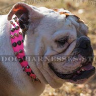 Girl British Bulldog Collar Highly Decorated Bright Pink Leather Girl British Bulldog Collar Highly Decorated Bright Pink Leather