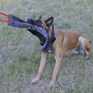 French Linen Bite Rag for German Shepherd and Belgian Malinois