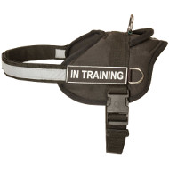German Shepherd Dog Harness for Puppy Walking and Training
