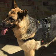 Bestseller! German Shepherd Harness Nylon for Multipurpose Use