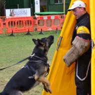 IPO, Schutzhund