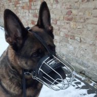 Bestseller! German Shepherd Wire Basket Muzzle