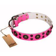 Girl Dog Collar "Pink of Perfection" FDT Artisan Studded Design Girl Dog Collar "Pink of Perfection" FDT Artisan Studded Design
