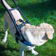 Guide Dog Harness with Handle of Black Nylon, Quick-release