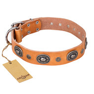 Handmade Leather Dog Collar "Twinkle Twinkle" by FDT Artisan Handmade Leather Dog Collar "Twinkle Twinkle" by FDT Artisan