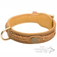 Leather Dog Collar UK