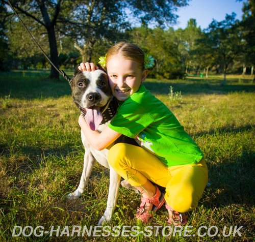 Happy
Dog Training and Behavior