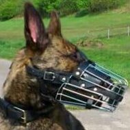 Herder Dog Muzzle Wire Basket Design, Fully Leather Padded