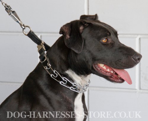 Herm Sprenger Dog Collar UK