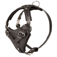 High-Quality Leather Dog Harness for Training