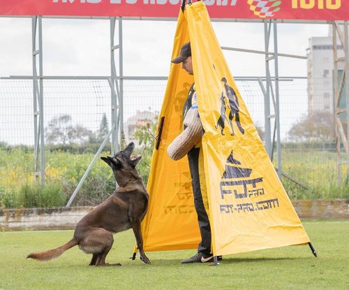 IPO Dog Sport Blinds