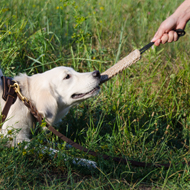 Jute Bite Tug with Loop for Puppy Training