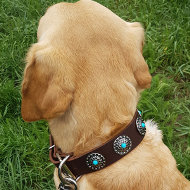 Labrador Collar Leather with Silver-Like Circles and Blue Stones