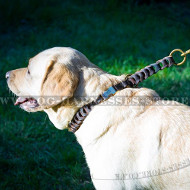 Quick Release Leather Dog Collar of Braided Design for Labs